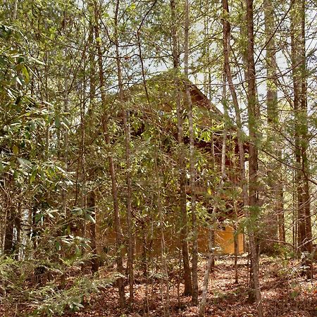 הוילה גטלינבורג Mountain Hideaway #338 מראה חיצוני תמונה