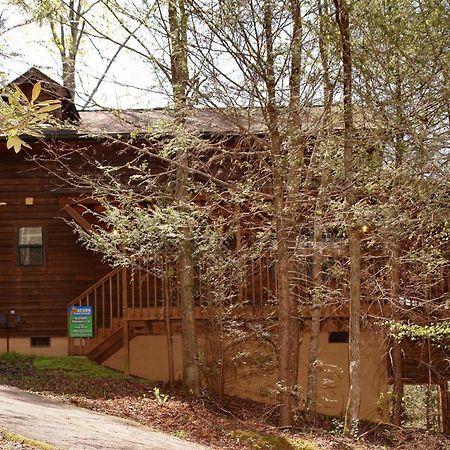 הוילה גטלינבורג Mountain Hideaway #338 מראה חיצוני תמונה