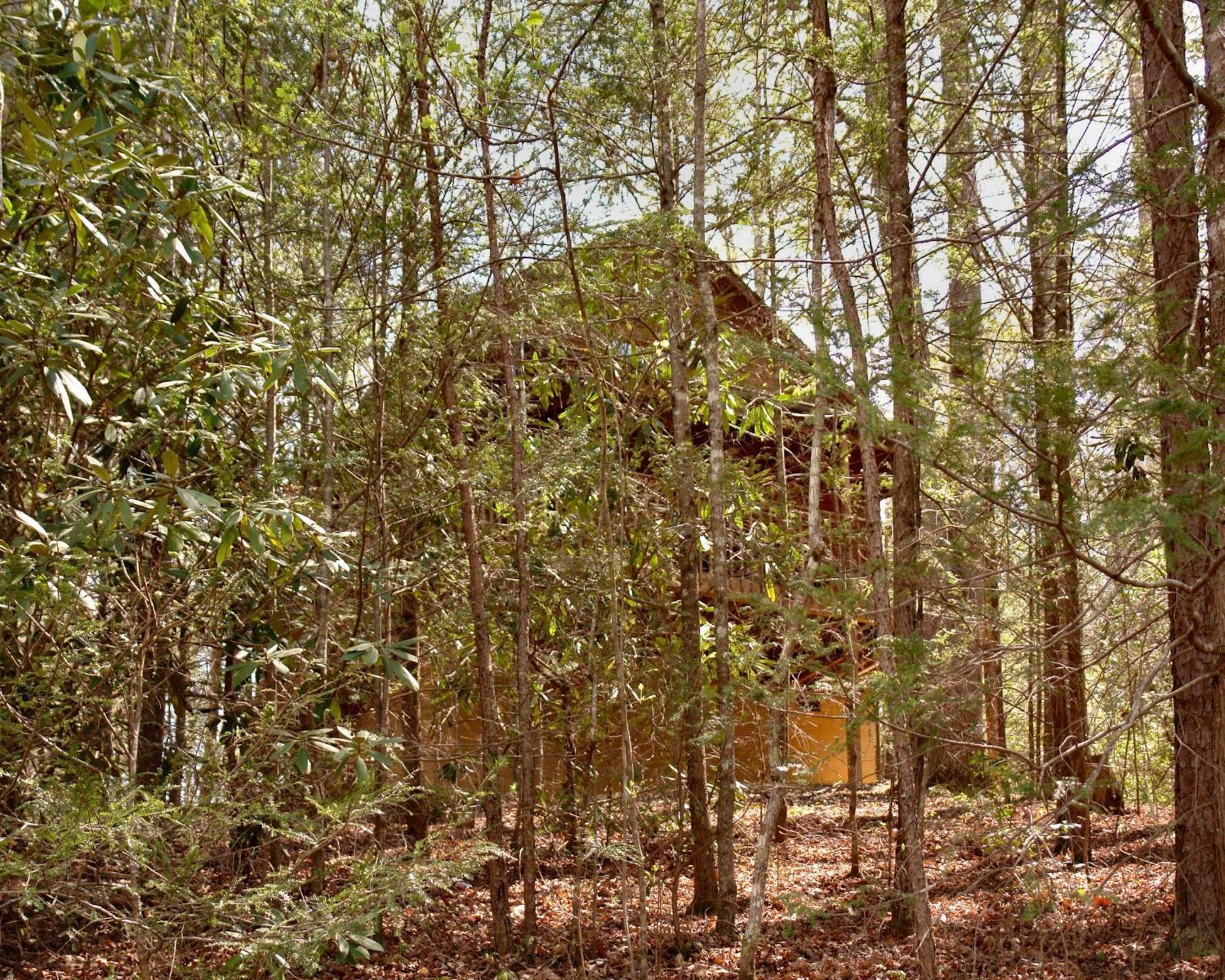 הוילה גטלינבורג Mountain Hideaway #338 מראה חיצוני תמונה